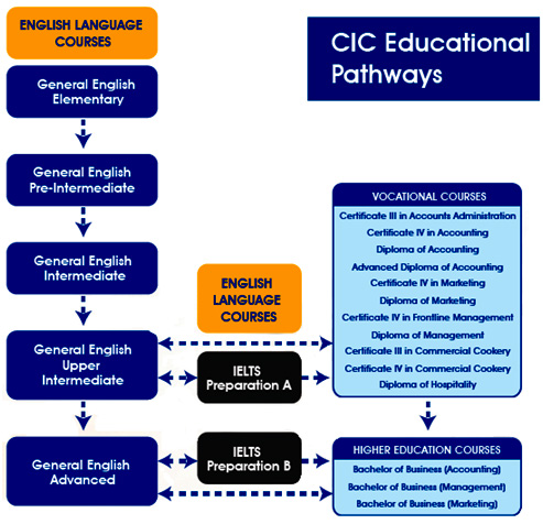 CIC Chart