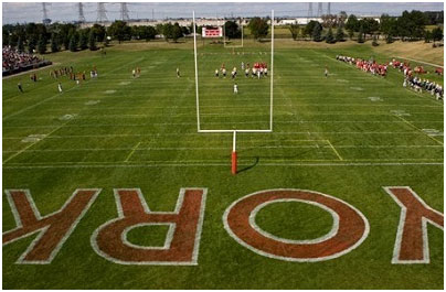 York University Stadium